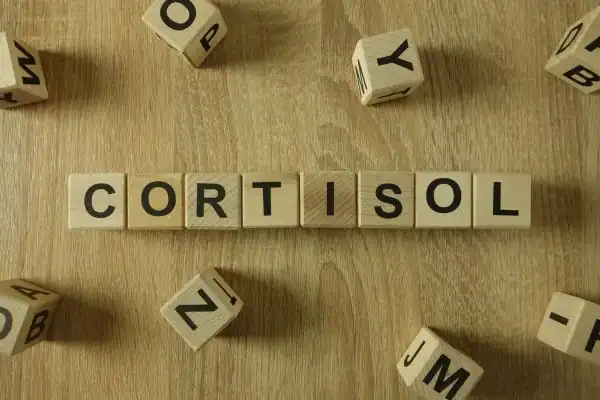 The Hidden Connection: How Stress Shapes Your Fitness and Body Composition 2 Image saying "Cortisol" and how stress Westcliff-on-Sea impacts your wellbeing and bodies shape